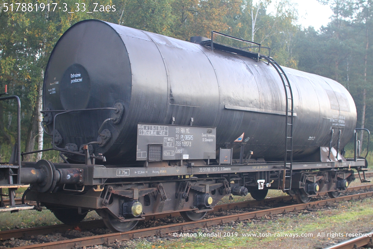 517881917-3_33_Zaes.JPG